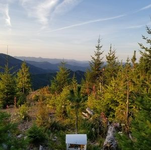 Meet your Posher, Rachael